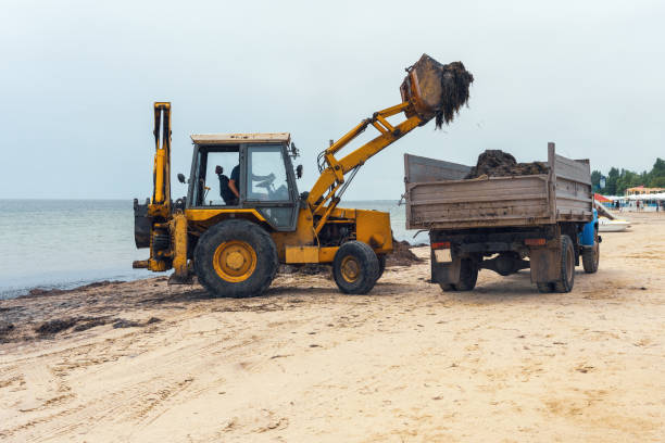 istock Cleaning the beach from algae, excavator loads algae on a truck 1330095468