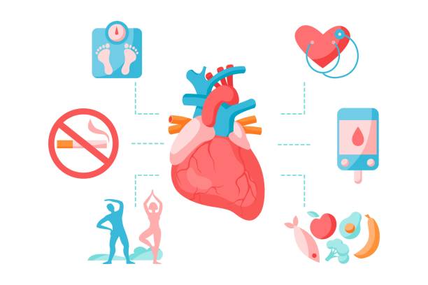 Heart disease and atherosclerosis prevention infographics. Healthy lifestyle concept. Heart disease and atherosclerosis prevention infographics. Healthy lifestyle concept. Vector flat illustration. Prevention cardiovascular problem. Weight scale, heart, exercise, food, diabetes control fish blood stock illustrations