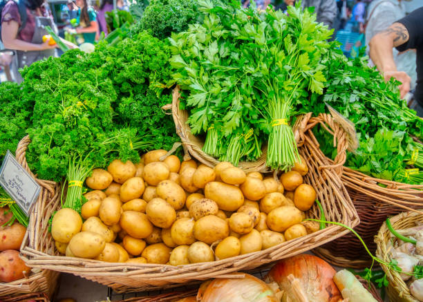 a basket of new potatoes  and parsley at the farmer's market stock photo