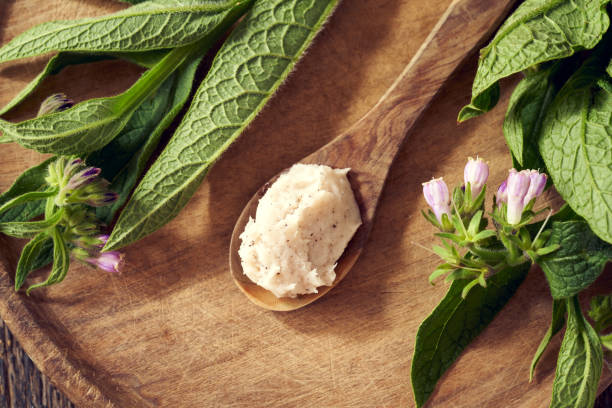 istock Homemade comfrey root ointment on a spoon with fresh blooming symphytum officinale 1330100553