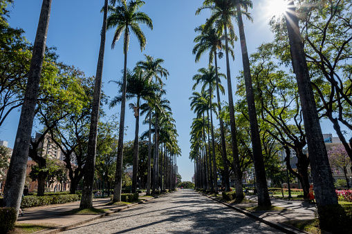 Savassi neighborhood in Belo Horizonte, Minas Gerais