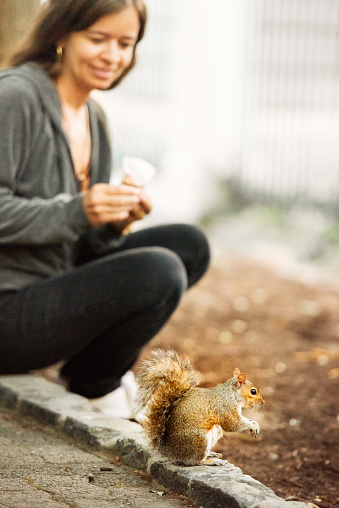 Smiling woman sitting outside on a footpath in a park and feeding a cute little squirrel some nuts