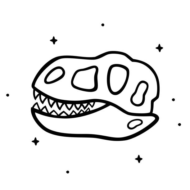 ilustraciones, imágenes clip art, dibujos animados e iconos de stock de doodle cráneo de dinosaurio 5 - paleobiology