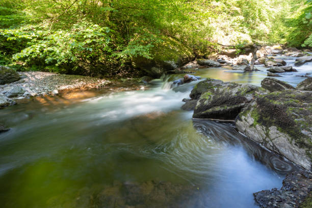 istock Watermeet in Exmoor National Park 1330103696