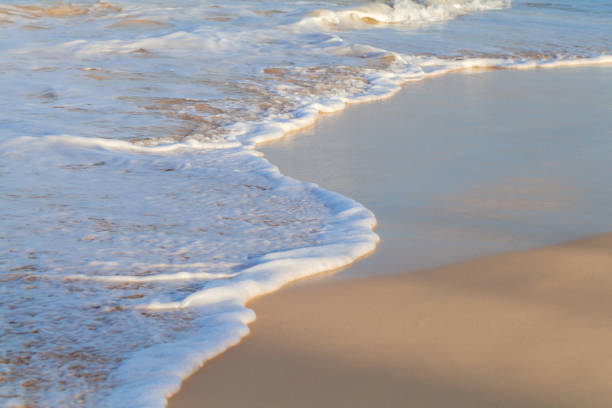 istock Shore water over wet sand on the beach 1330106416