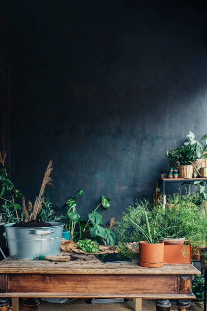 istock Beautiful Small Business Workshop with Various Plants 1330109256