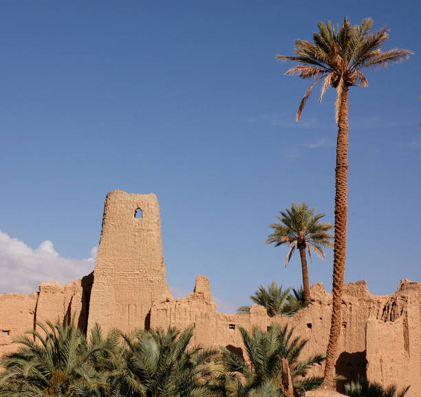 istock Palm grove of  Figuig in Morocco 1330110789