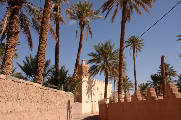 istock Palm grove of  Figuig in Morocco 1330111663