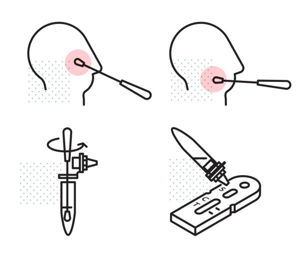 Lateral Test Vector 480+ Lateral Flow Test Stock Illustrations, Royalty-Free Vector ...