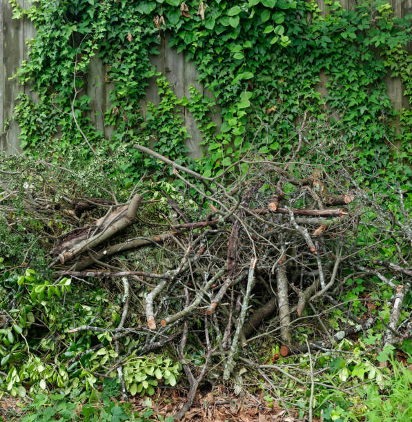istock pile of garden and tree compost 1330115169
