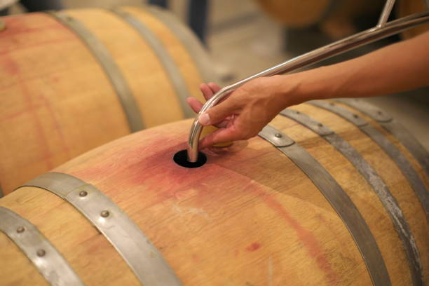 istock Ouillage or Ullage to wine barrel using watering can 1330116679