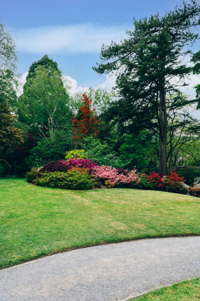 istock Beautiful Garden with blooming trees during spring time 1330120461