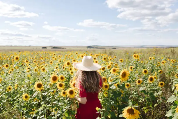 Photo of Beautiful young woman in red dress and a straw hat is standing against a yellow field of sunflowers. Summer time, cottagecore concept. Back view
