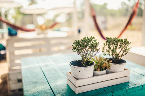 Beach cafe table with fresh flower pot on it