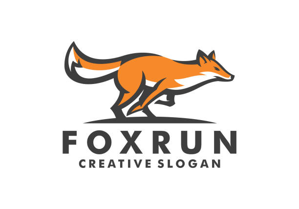 Awesome Run Fox Creative emblem Template Awesome Run Fox Creative emblem Template fire fox stock illustrations