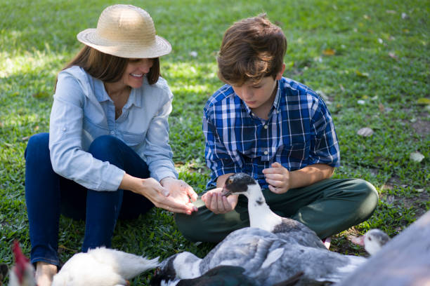 istock Mother and child feeding ducks at agroecological farm backyard 1330121436