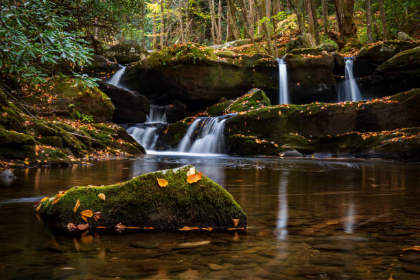 istock Upper Tremont Rd Middle Prong Trail Great Smokey Mountains 1330122677