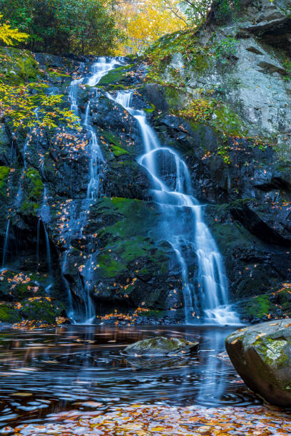 istock Spruce Flatts Falls Great Smokey Mountains 1330122697