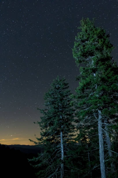 istock Starry Night at New Fooundland Gap Great Smokey Mountains 1330122713