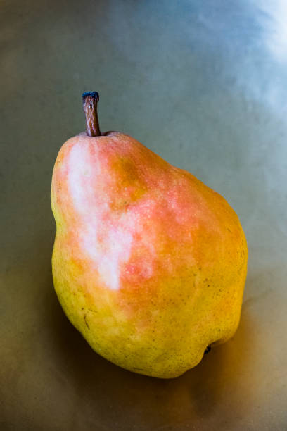 Pear Portrait