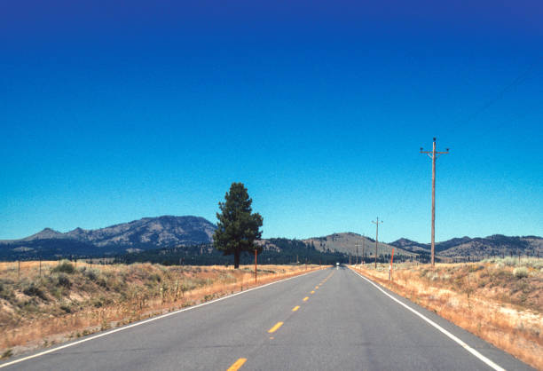 istock California Highway 89 North - 1995 1330124625