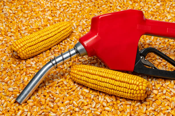 Ethanol gasoline fuel nozzle and corn kernels. Biofuel, agriculture and fuel price concept background, no people ethanol photos stock pictures, royalty-free photos & images