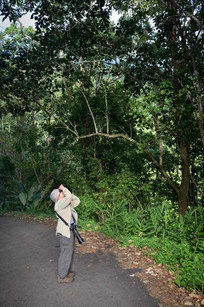 Birdwatching in Blue Mountain National Park