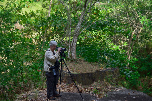 istock Birdwatching in Green Castle Estate 1330127158
