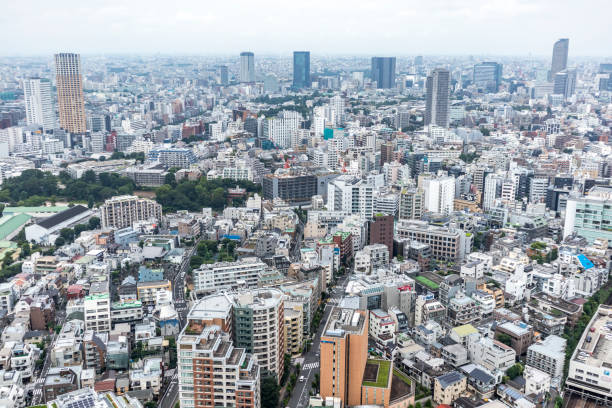 istock Aerial View of Tokyo 1330133265