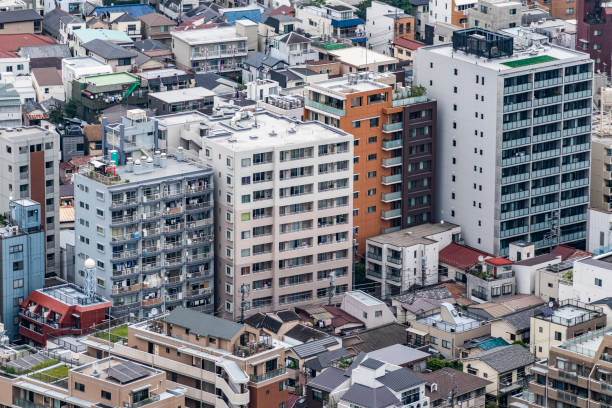 istock Aerial View of Tokyo 1330133356