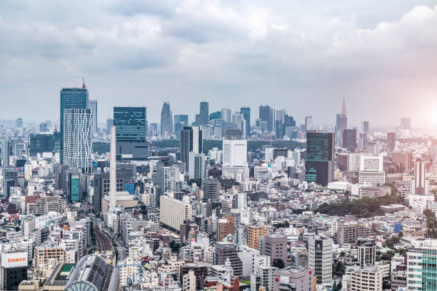 istock Aerial View of Tokyo 1330133357