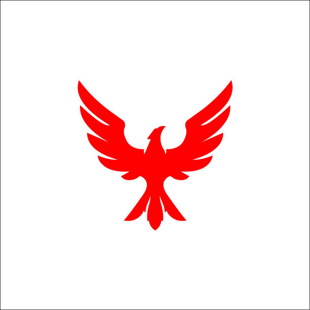 ikona aplikacji falcon eagle logo template - phoenix tattoo bird wing stock illustrations