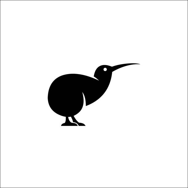 ilustrações, clipart, desenhos animados e ícones de kiwi bird logotipo vetor ilustração de design de ícone - kiwi