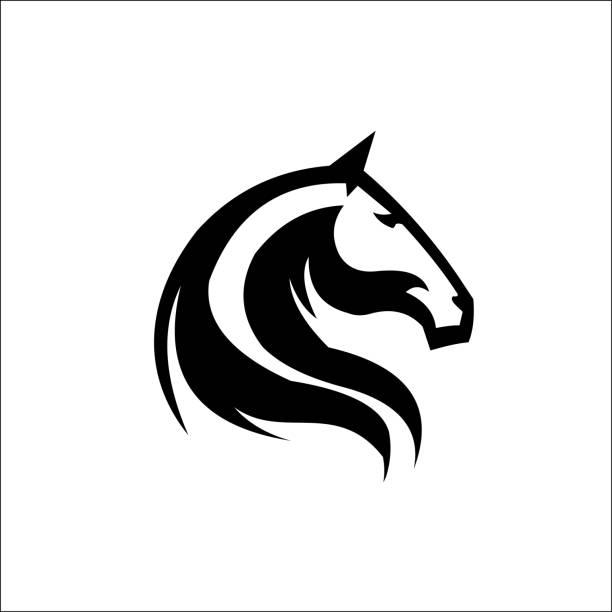 illustrazioni stock, clip art, cartoni animati e icone di tendenza di vettore del modello di testa di cavallo - stallion