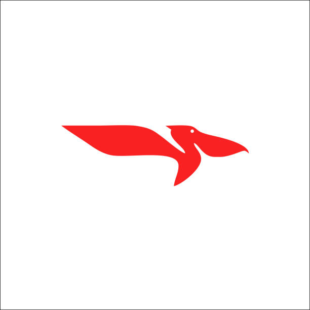ilustrações, clipart, desenhos animados e ícones de modelo de vetor de design abstrato do logotipo do pássaro pelicano. - pelicano