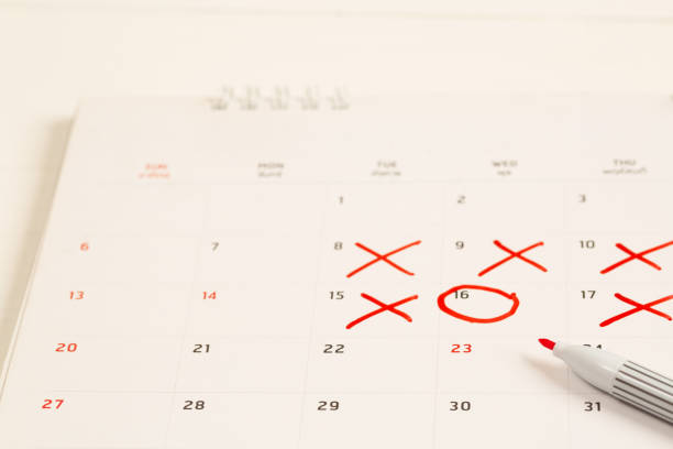 istock Schedule appointments and plan in the calendar. 1330141328