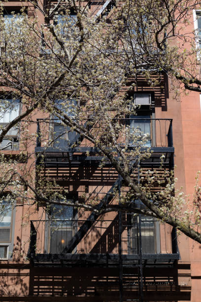 istock Old Apartment Building Exterior with a Fire Escape and a White Flowering Tree during Spring on the Upper East Side of New York City 1330145831