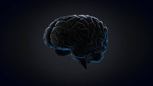 istock Human brain digital Electrical activity, flashes and lightning on a blue background. 3d rendering 1330147001