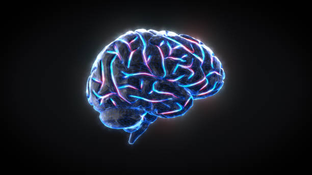cerebro humano digital actividad eléctrica, destellos y relámpagos sobre un fondo azul. renderizado 3d - director creativo fotografías e imágenes de stock