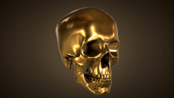 silver skull on a black background 3d rendering - human skeleton people human spine human bone imagens e fotografias de stock