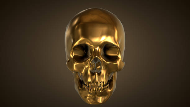 silver skull on a black background 3d rendering - human skeleton people human spine human bone imagens e fotografias de stock