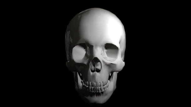 silver skull on a black background 3d rendering - human skeleton people human spine human bone imagens e fotografias de stock
