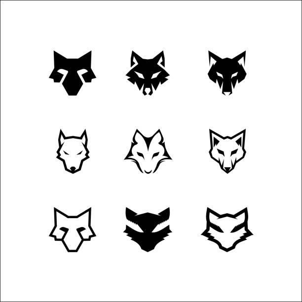 ilustrações de stock, clip art, desenhos animados e ícones de set of head wolf   vector illustration - lobo
