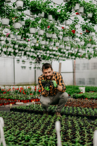 istock Smiling garden worker enjoying his labor fruits 1330152673