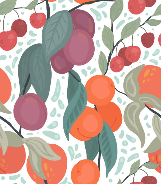 бесшовная плоская текстура с вишнями, персиками, сливами на ветвях с листвой на белом фоне с декором каракуля. мультяшный узор с садоводным� - nectarine peach backgrounds white stock illustrations