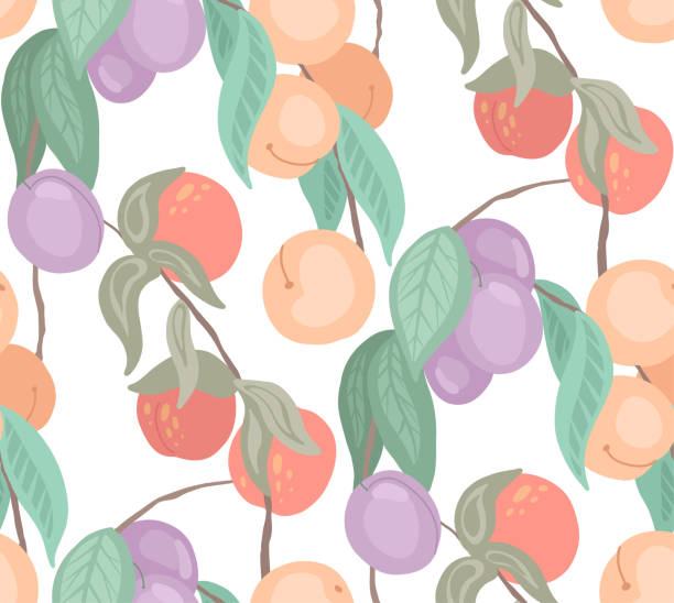 bezszwowa, delikatna konsystencja z wiśniami, brzoskwiniami, śliwkami na gałęziach z liśćmi na białym tle. lekki wzór kreskówki z jagodami na łodygach. tkanina wektorowa - nectarine peach backgrounds white stock illustrations