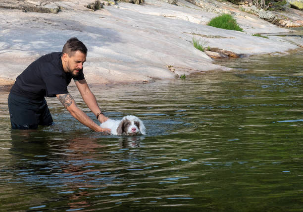 istock Dog handler teaching puppy to swim in lagoon 1330158634