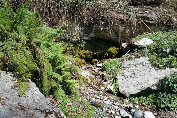 istock Natural mountain stream through pebble stones among green forest 1330162385