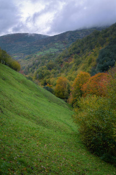 istock Autumnal atmosphere between green meadows and colorful forests 1330164704