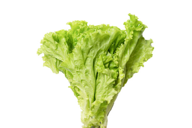 istock Fresh lettuce salad isolated on a white background. 1330168021
